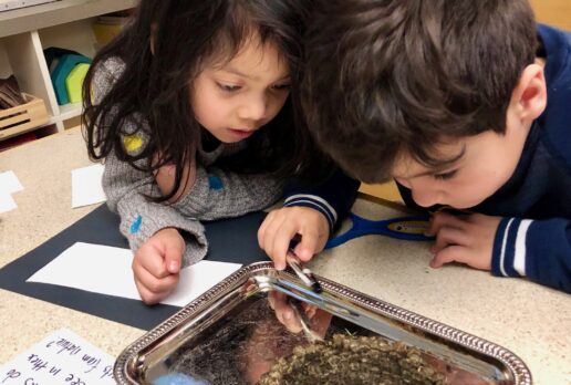 Science Observation Gallery